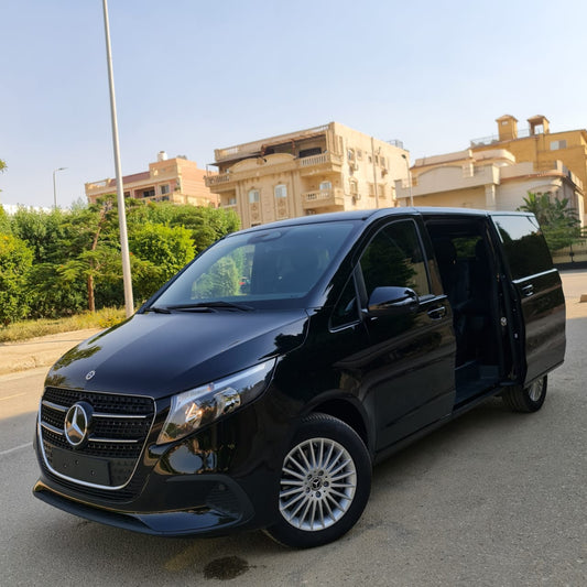 MERCEDES V300